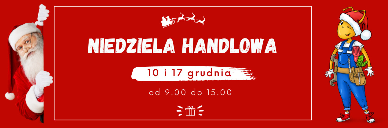 zdjęcie na stronie głównej